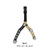 Black/Gold
