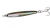 Anchovy