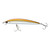 Sand Eel