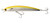 Yellow Mullet