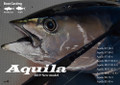 Ripple Fisher Aquila Expedition Spinning Rod