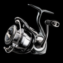 mw9CHYXE__74442.1734648216.220