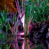 Variety for green oases<br />Simply save colors, effects and shows as favorites, control them individually with a timer and group them.