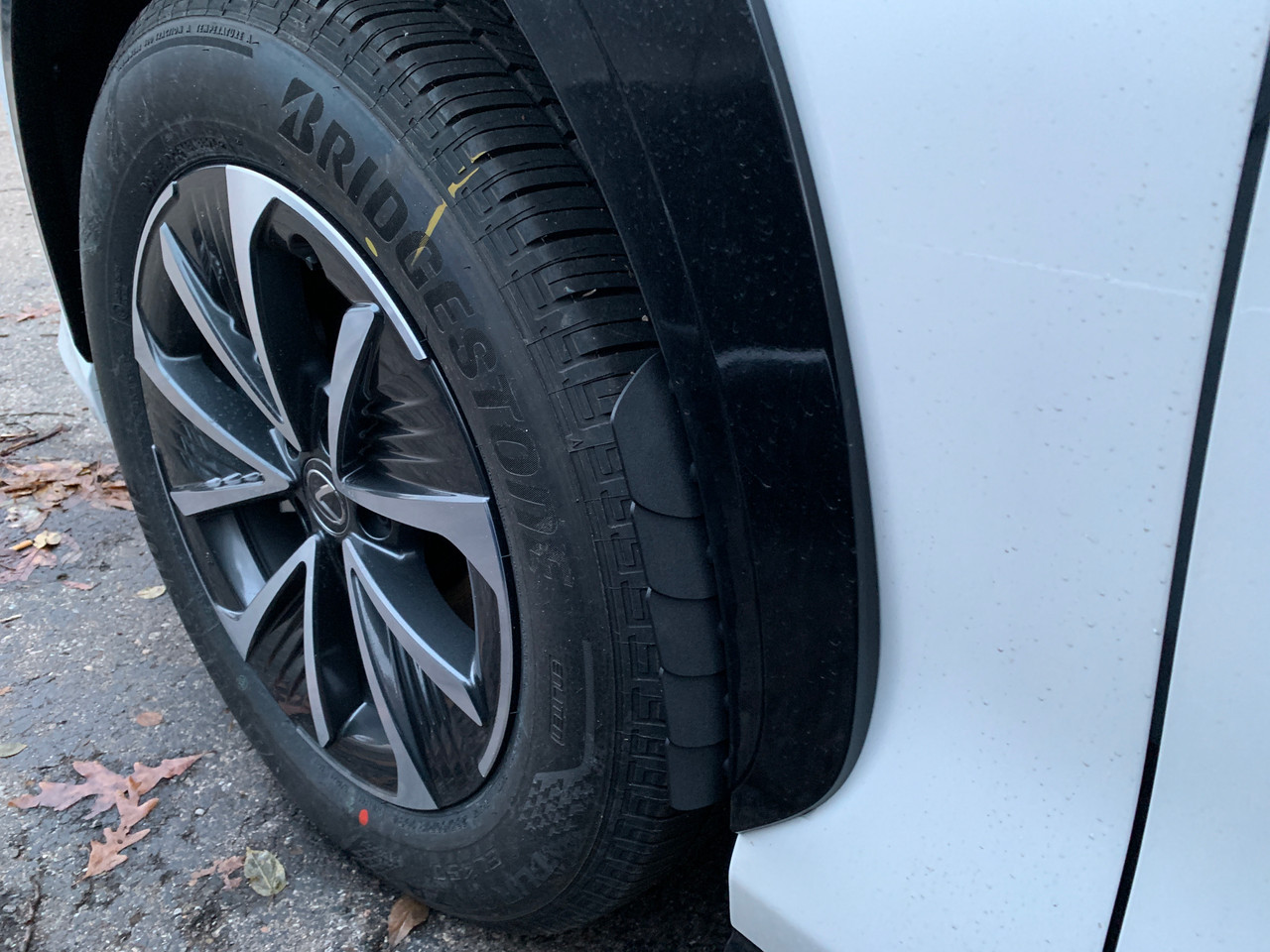 2023-2026 Lexus RZ - 1FastGuard stone guards