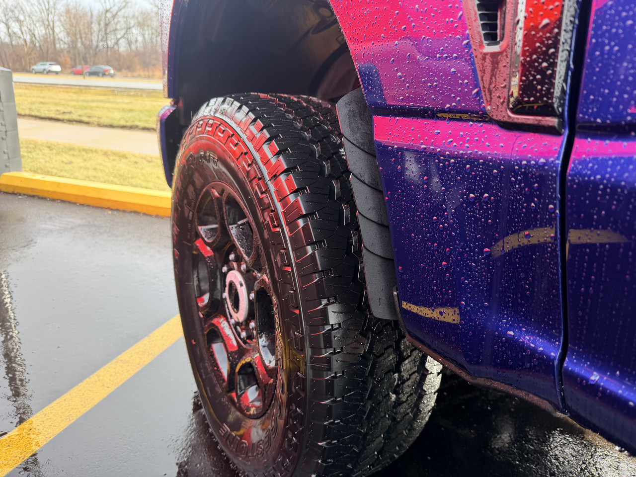 ストーンプロテクターズ 2023-2026 Ford Super Duty F350 - 1FastGuard stone guards