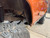 1966-1977 Ford Bronco front and rear fender flange for fitting 1FastGuard stone guards.