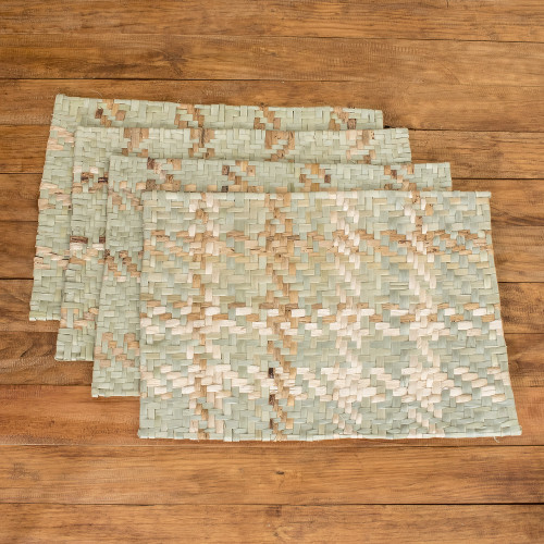 Set of 4 Natural Fiber Placemats Handwoven in Guatemala 'Nature Love'