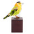 Art Glass Sculpture of a Wilson's Warbler from El Salvador 'Wilson's Warbler'