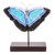 Art Glass Morpheus Butterfly Sculpture from El Salvador 'Morpheus Flight'