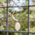 Rainbow Crystal and Glass Beaded Spiral Suncatcher 'Rainbow Spiral'