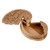 Hand-Carved Paisley-Shaped Leafy Walnut Wood Puzzle Box 'Portal to the Paisley Forest'