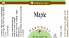 Natural Maple Flavour - LorAnn - 1 oz