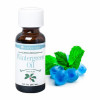 Lorann - Wintergreen Oil (Natural) - 1 oz Lorann - Wintergreen Oil (Natural) - 1 oz