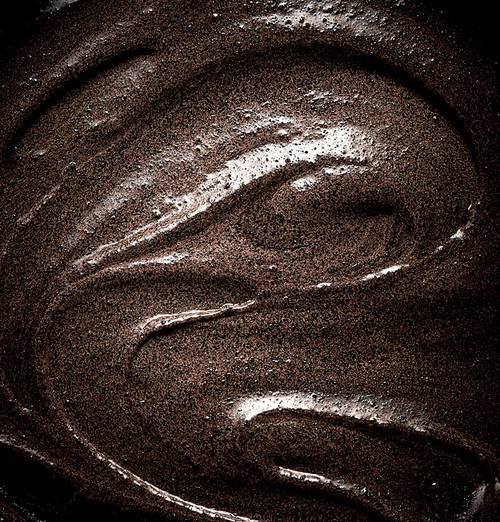 Vanifusion Organic Madagascar Vanilla Bean Paste-500 g - Norohy