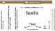 Sassafras Flavour - 16 oz - LorAnn