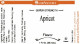 Apricot Flavour - 16 oz - LorAnn