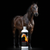 Naturally Oil Coat Treatment for Horses