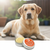 Skin Calming Atopic Dermatitis Lotion Bar for Dogs