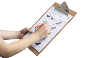 ESSELTE MASONITE CLIPBOARDS Foolscap