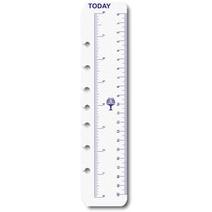 Debden Dayplanner Refill Today Ruler (2 Pack) 140 x 216mm Desk Edition