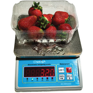 COMMERCIAL KITCHEN SCALE WATERPROOF 6kg Capacity x 1g Readability