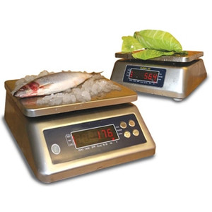 Commercial Kitchen Scale IP68 Water Proof Stainless Steel 30Kg Capacity x 1G Readability, Each