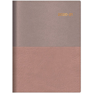 Collins Vanessa Financial Year Diary A4 1 Day to a Page 30min Champagne (2024-2025)