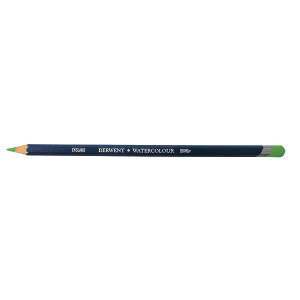 DERWENT WATERCOLOUR PENCIL GRASS GREEN 47 (Box of 6)