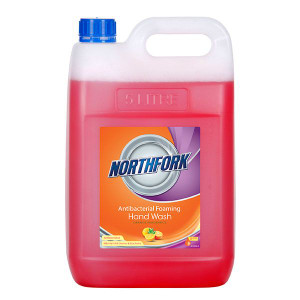 NORTHFORK FOAMING HAND WASH ORANGE ANTIB 5L BX3