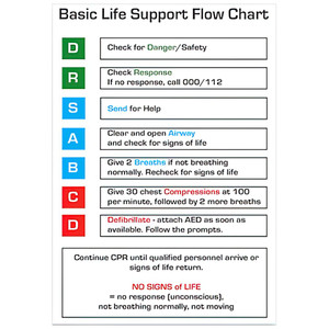 CPR Flow Chart Card 10cm x 14cm