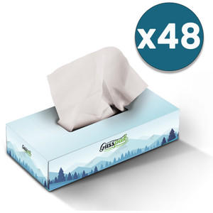 Gusspak Premium Facial Tissues 2 Ply 100 Sheets Carton of 48