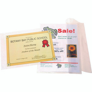 REXEL SELF SEAL POUCH CREDIT CARD SIZE BX100