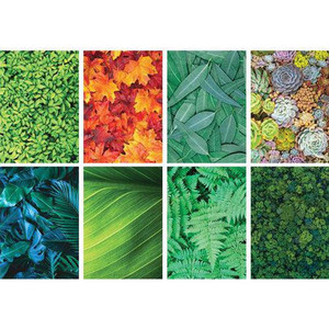 Pattern Papers A4 Foliage Pack of 40