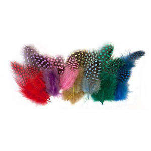 Guinea Fowl Feathers 10g Pack of 100 - Assorted
