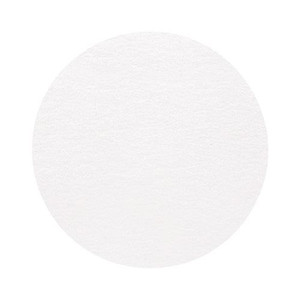 Cartridge Paper Circles 25cm Pack of 100 - White