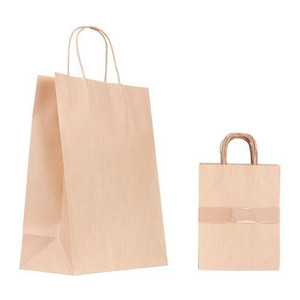 Paper Bag with Handle Pack of 10 - Small