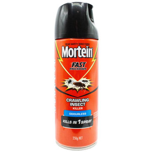 MORTEIN 250g CRAWLING INSECT KILLER FAST KNOCKDOWN KILLS IN 1 SPRAY ODOURLESS