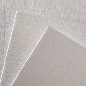 Canson Figueras 290 Sheet Canvas Grain 50 x 65 cm