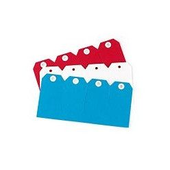 AVERY SHIPPING TAGS Size 4 108mm x 54mm Red (Box of 1000)