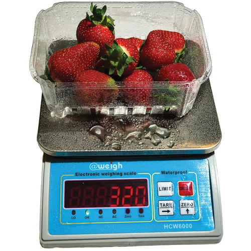 COMMERCIAL KITCHEN SCALE WATERPROOF 6kg Capacity x 1g Readability