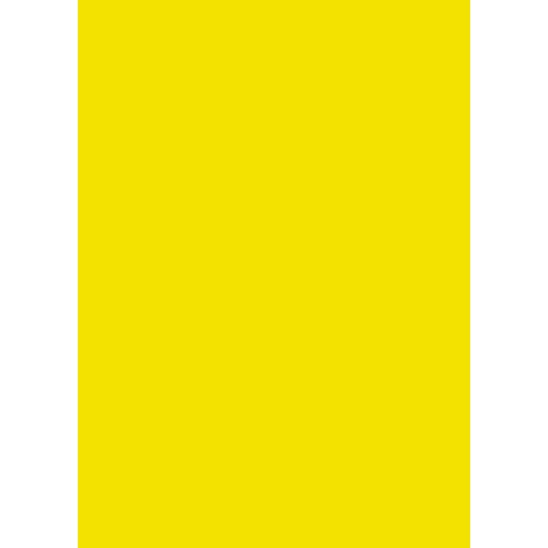 A4 FLUORO YELLOW 1UP PERM LL001 (Pack of 100)