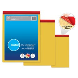 TUDOR POLY TOUGH ENVELOPE GOLD 220x320 Security Seal