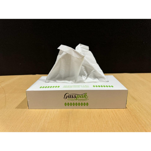 Gusspak Premium Facial Tissues 2 Ply 100 Sheets