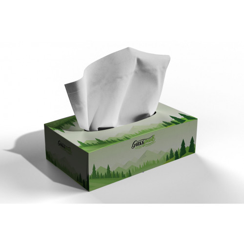 Gusspak Premium Facial Tissues 2 Ply 200 Sheets