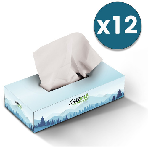 Gusspak Premium Facial Tissues 2 Ply 100 Sheets Pack of 12