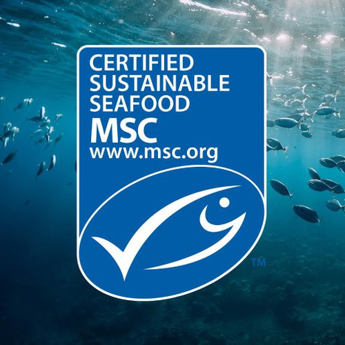 JOHN WEST SWEET CHILLI TUNA TEMPTERS 95GM