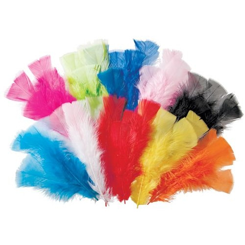 Feathers 60g Assorted 240’s