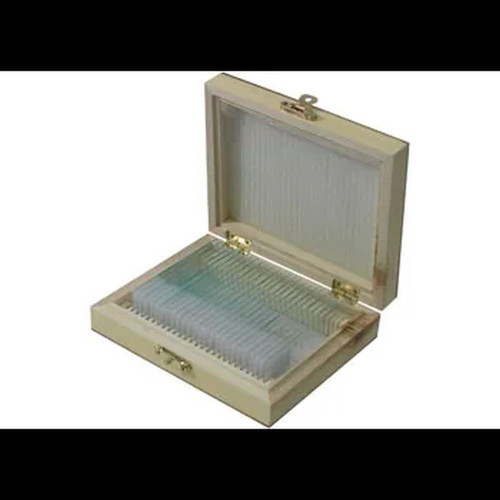 Slide Set - Biology Basic - Set of 25