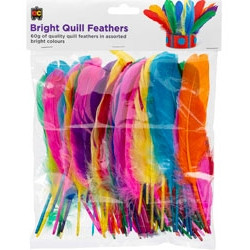 Bright Quill Feathers Assorted Colours 60g