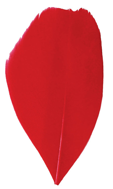 Trimmed Feathers Christmas Mix 30g